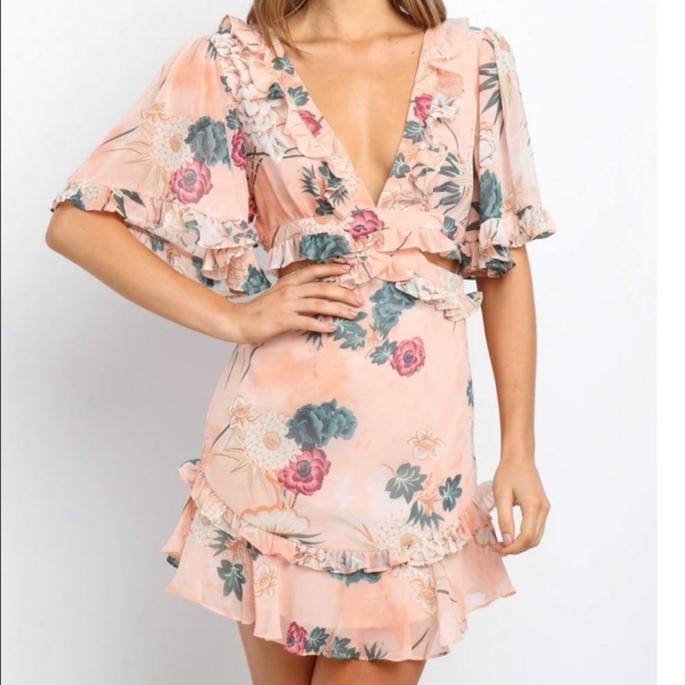 Petal & Pup Dress NWT